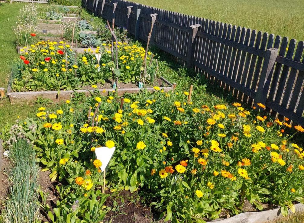 Gartenbeete